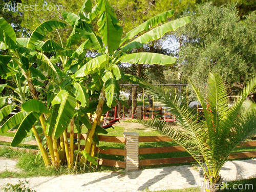 Mediterranee Hotel 8
